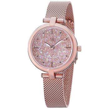 ساعت پولو سانتا باربارا SB.1.10004-2